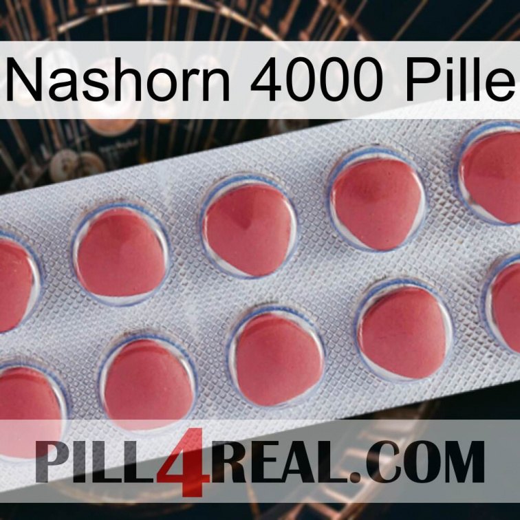 Rhino 4000 Pill 18